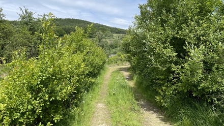 Prodej stavebního pozemku 1 416 m², Chrastava