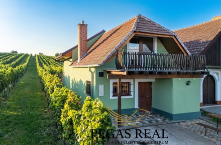 Prodej vinného sklepa 135 m², Josefov