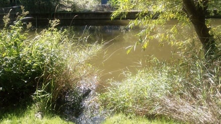 Prodej chaty 38 m², Kamenný Přívoz