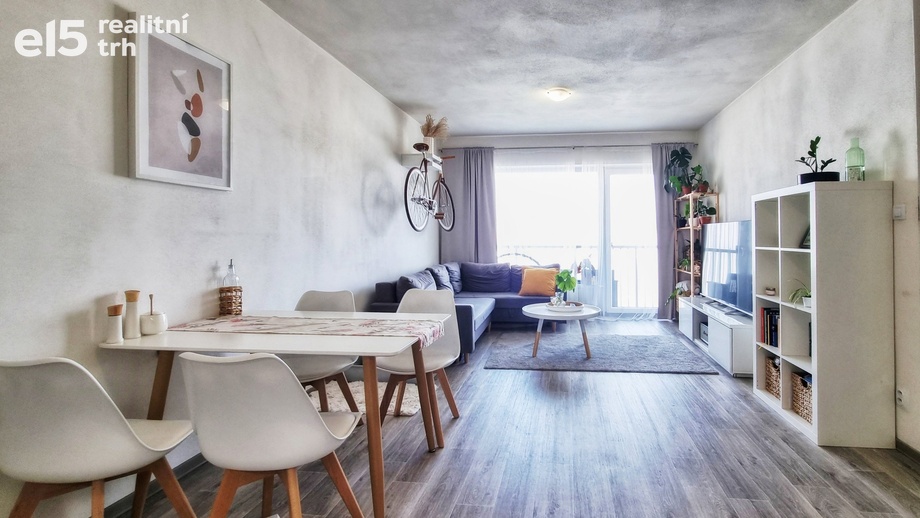 Pronájem bytu 2+kk 48 m², Plzeň - Severní Předměstí