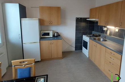 Pronájem bytu 1+1 40 m², Planá