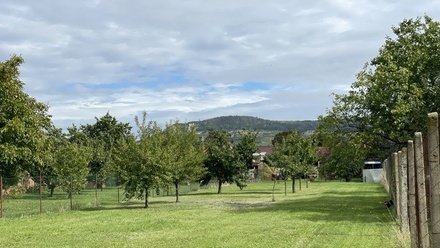 Prodej stavebního pozemku 1 000 m², Dolní Dunajovice