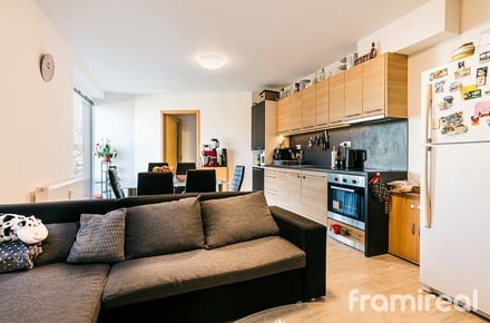 Pronájem bytu 3+kk 77 m², Rousínov