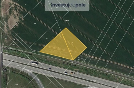 Prodej podílu 1/6 pole 1 315 m², Olešnice - Levín