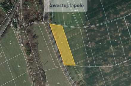 Prodej podílu 1/3 pole 2 465 m², Vysoké Mýto - Svařeň