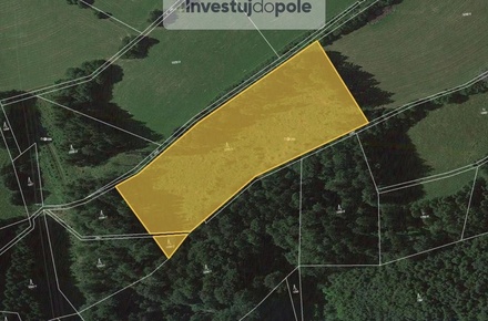 Prodej lesa 13 509 m², Cotkytle
