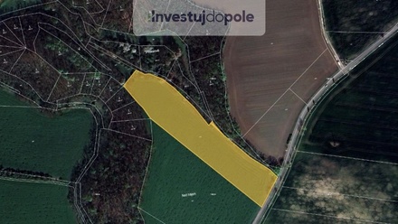 Prodej podílu 1/6 pole 10 992 m², Holubice - Kozinec