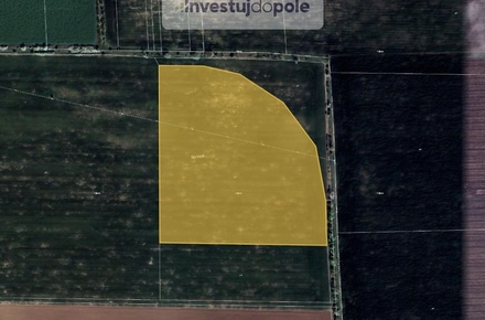Prodej podílu 1/6 pole 10 992 m², Holubice - Kozinec