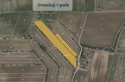 Prodej sadu / vinice 6 224 m², Sedlec