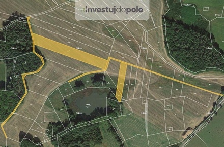 Prodej pole 9 268 m², Chanovice - Újezd u Chanovic