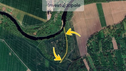 Prodej podílu 1/4 lesa 932 m², Žabovřesky nad Ohří