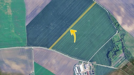 Prodej pole 15 471 m², Nikolčice