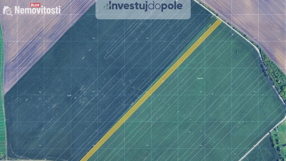 Prodej pole 15 471 m², Nikolčice