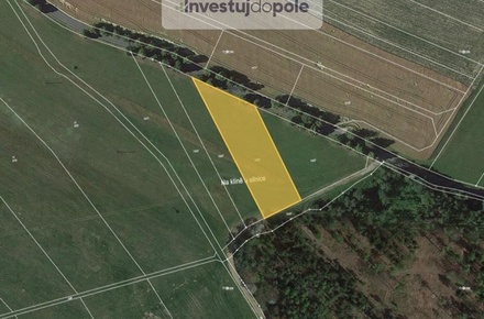 Prodej pole 3 874 m², Lipová - Hrochov