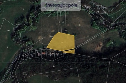 Prodej louky 4 632 m², Bojanovice - Malá Lečice