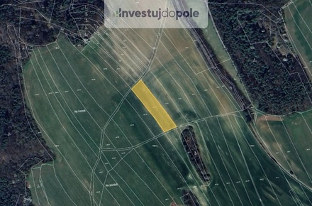 Prodej pole 2 943 m², Letovice - Slatinka