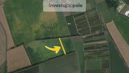 Prodej pole 4 290 m², Lipov