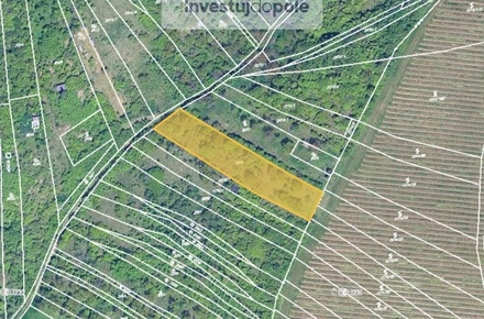 Prodej zahrady 1 973 m², Židlochovice