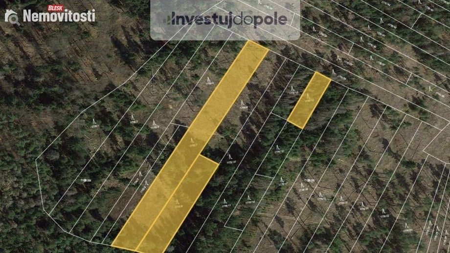 Prodej lesa 7 304 m², Zálezly