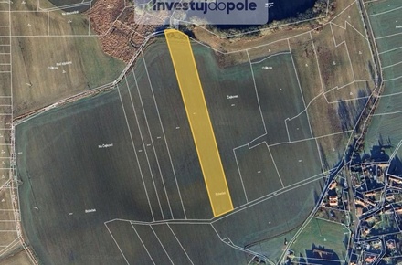 Prodej podílu 1/12 pole 1 325 m², Předotice - Křešice