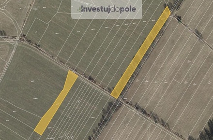 Prodej podílu 1/2 pole 2 915 m², Velký Chlumec