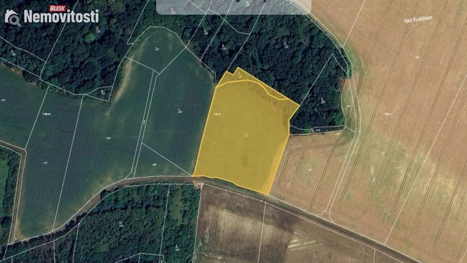 Prodej louky 10 931 m², Vysoká - Strážnice