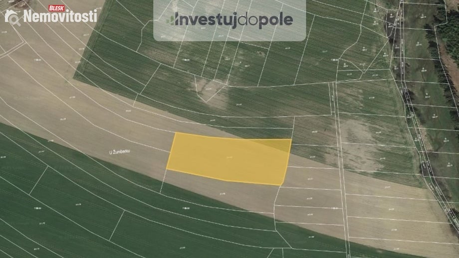 Prodej podílu 1/3 pole 2 924 m², Žďárná