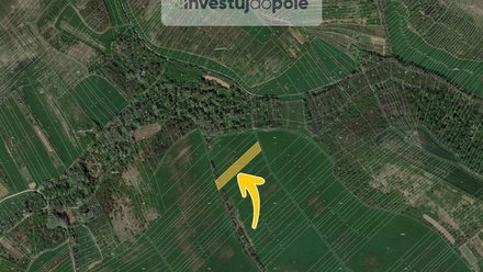 Prodej pole 4 736 m², Velké Němčice