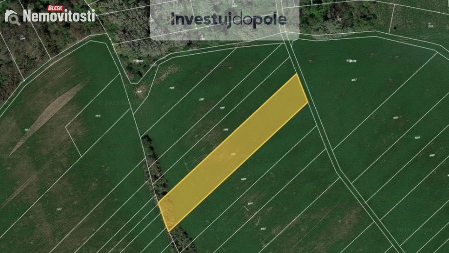 Prodej pole 4 736 m², Velké Němčice