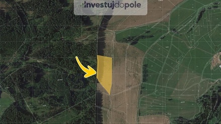 Prodej pole 15 779 m², Mříčná