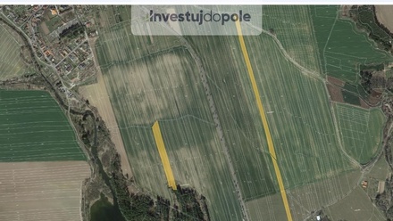 Prodej podílu 1/4 pole 33 566 m², Sepekov