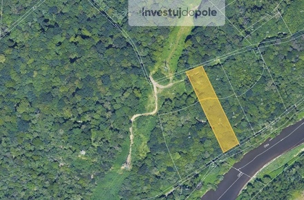 Prodej lesa 3 893 m², Ostrava