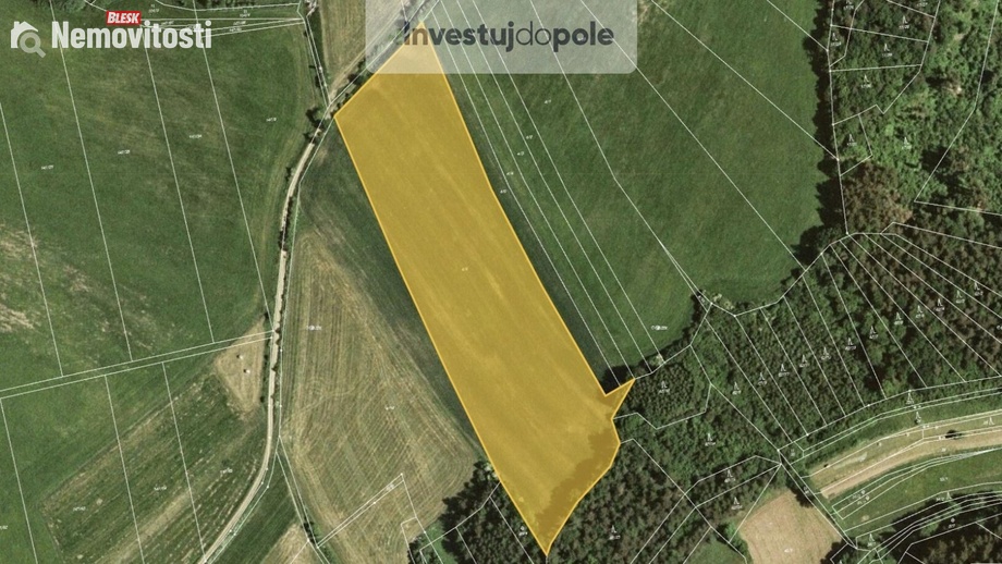 Prodej pole 19 138 m², Letovice - Slatinka