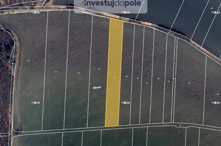 Prodej pole 6 966 m², Choťovice