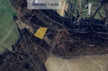 Prodej zahrady 2 094 m², Kostelec nad Orlicí - Kostelecká Lhota