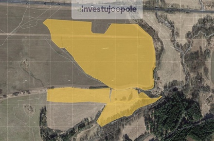 Prodej podílu 1/4 pole 35 933 m², Čichalov - Štoutov