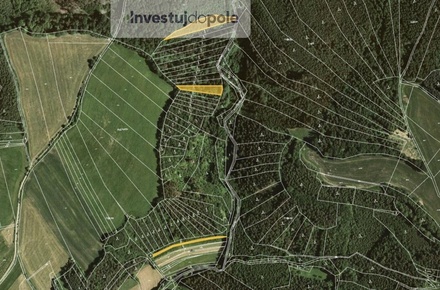 Prodej lesa 4 290 m², Letovice - Slatinka