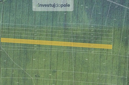 Prodej podílu 5/24 pole 1 184 m², Uhy