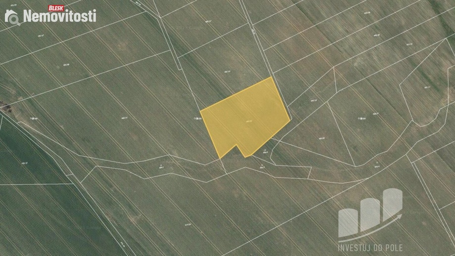 Prodej pole 6 143 m², Běstvina - Rostejn