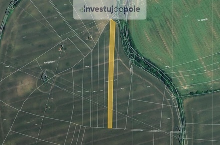Prodej pole 2 796 m², Poříčany