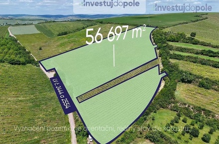 Prodej sadu / vinice 56 697 m², Šardice