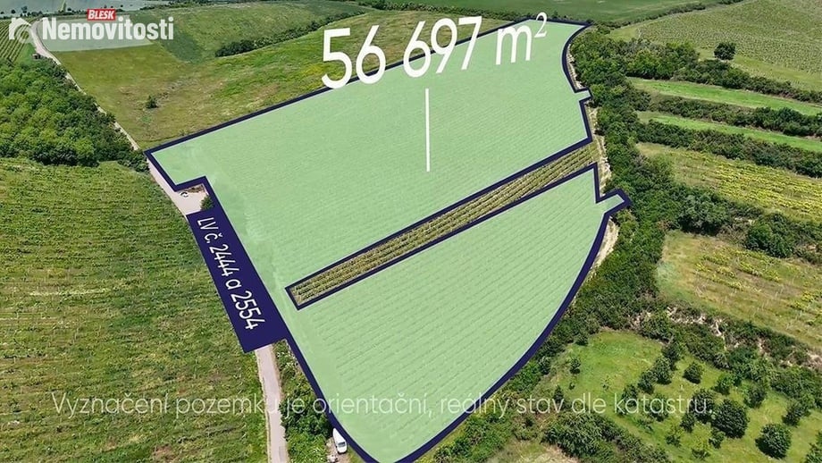 Prodej sadu / vinice 56 697 m², Šardice