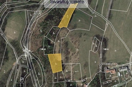 Prodej lesa 3 539 m², Proseč