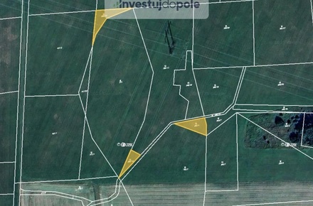 Prodej louky 1 136 m², Kynice