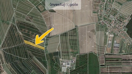 Prodej podílu 6/9 pole 7 656 m², Uhlířská Lhota