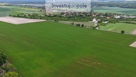 Prodej pole 13 936 m², Velký Borek