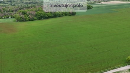 Prodej pole 13 936 m², Velký Borek