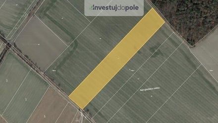 Prodej pole 13 936 m², Velký Borek