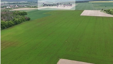 Prodej pole 13 936 m², Velký Borek