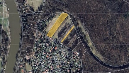 Prodej lesa 96 975 m², Oseček